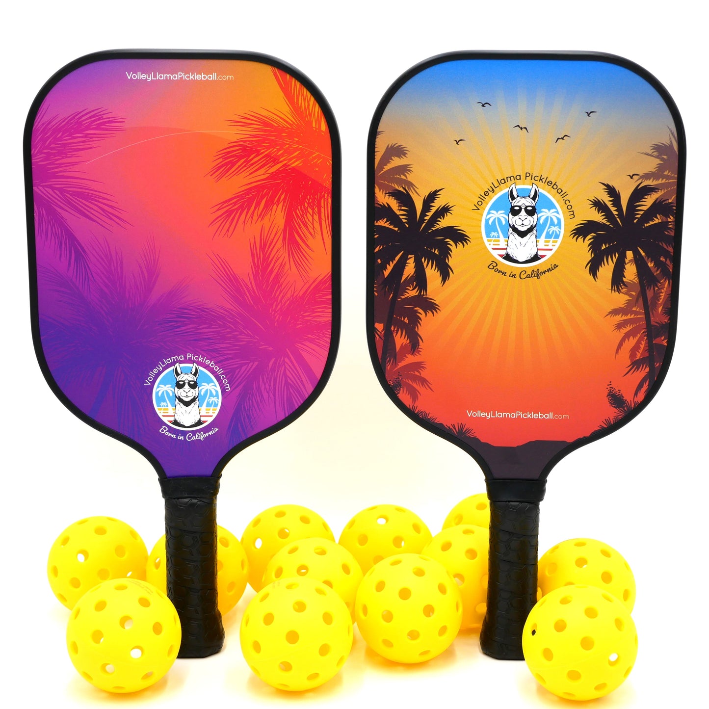 Dream And Paradise Pickleball Paddles Set of 2